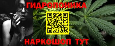 прущие грибы Краснокаменск