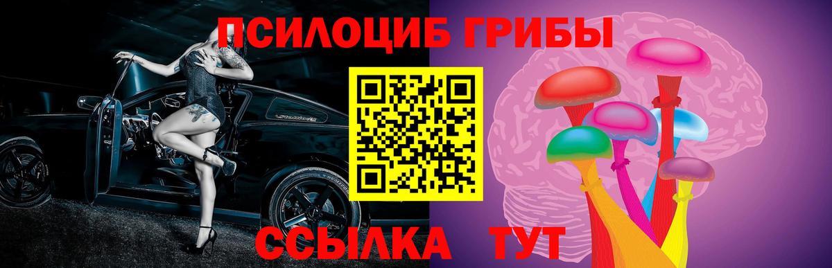 Галлюциногенные грибы GOLDEN TEACHER Дедовск