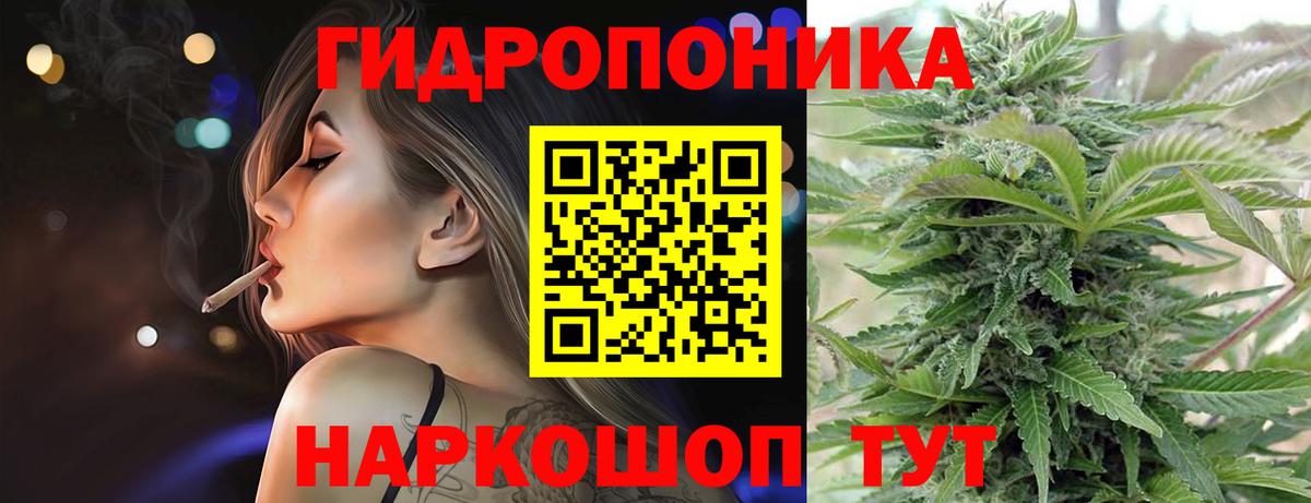 Каннабис сатива  Конопля план  Дедовск  Бошки Шишки марихуана  Вход с VPN 